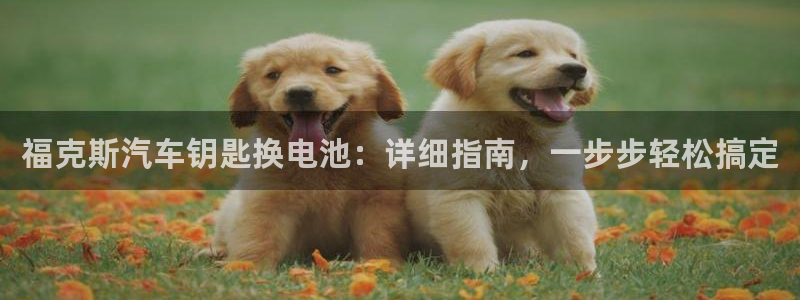 优发国际游戏17：福克斯汽车钥匙换电池：详细指南，一步步轻松搞定