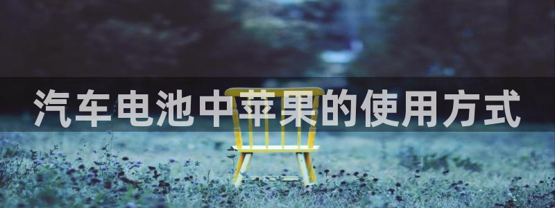优发国际VIP网址：汽车电池中苹果的使用方式