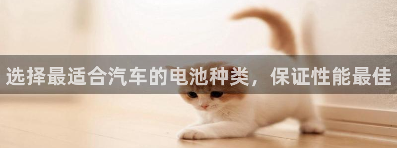 优发国际手机版网站下载：选择最适合汽车的电池种类，保证性能最佳