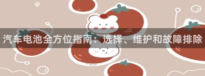 优发国际app官网下载安装苹果手机：汽车电池全方位指南：选择、维护和故障排除