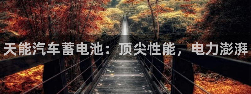 优发国际手机客户端下载不了：天能汽车蓄电池：顶尖性能，电力澎湃