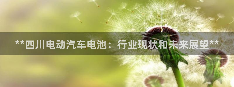 优发国际首页app：**四川电动汽车电池：行业现状和未来展望**