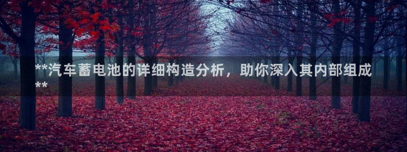 优发国际网站官网：**汽车蓄电池的详细构造分析，助你深入其内部组成
**