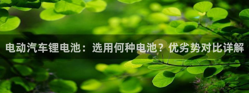 优发国际合并到哪里了啊：电动汽车锂电池：选用何种电池？优劣势对比详解