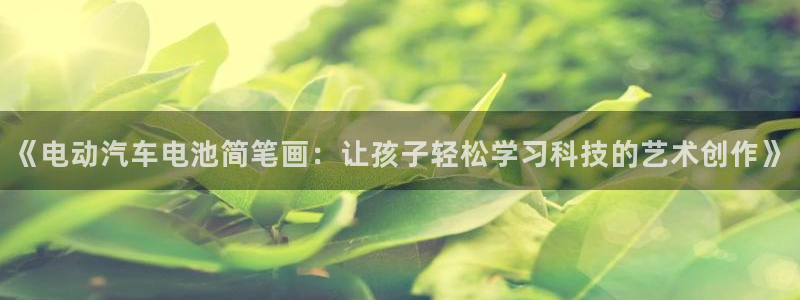 优发国际是大平台吗还是小平：《电动汽车电