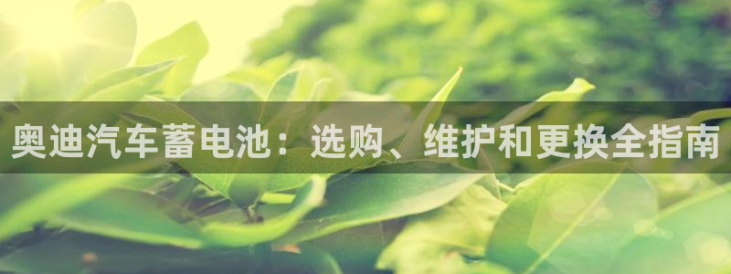 优发国际官方网平台：奥迪汽车蓄电池：选购、维护和更换全指南