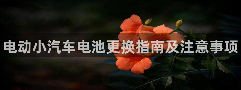 优发国际官网qy88：电动小汽车电池更换指南及注意事项