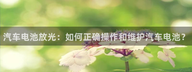优发国际官网手机版代理：汽车电池放光：如何正确操作和维护汽车电池？