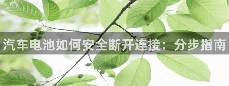 优发国际官网手机版代理：汽车电池如何安全断开连接：分步指南