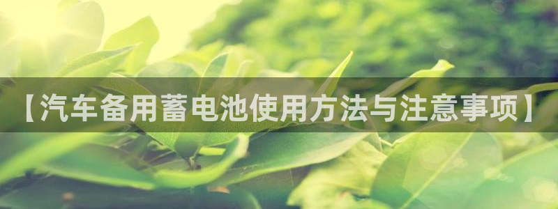优发国际平台手机版下载安装：【汽车备用蓄电池使用方法与注意事项】