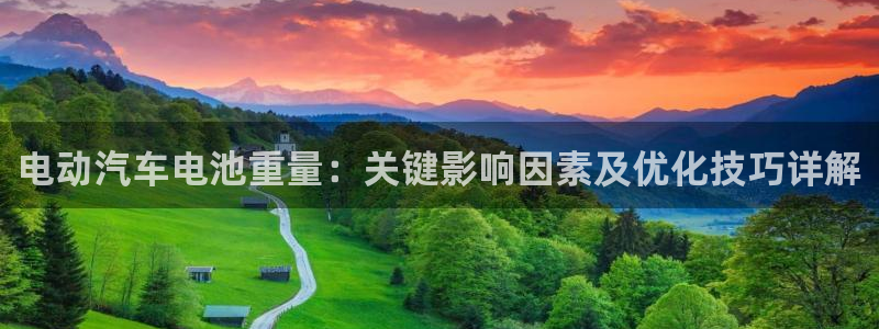优发国际平台u8是什么：电动汽车电池重量