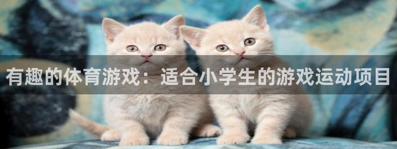 betway西汉姆联官网：有趣的体育游戏：适合小学生的游戏运动项目