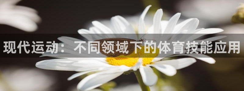 betway西汉姆：现代运动：不同领域下的体育技能应用