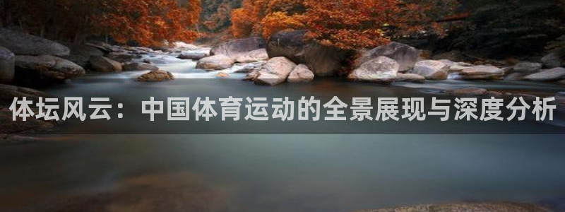 betway西汉姆联：体坛风云：中国体育运动的全景展现与深度分析