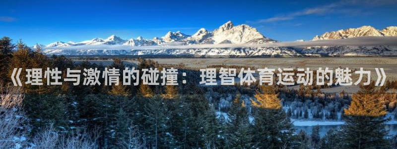 必威betway西汉姆联：《理性与激情的碰撞：理智体育运动的魅力》