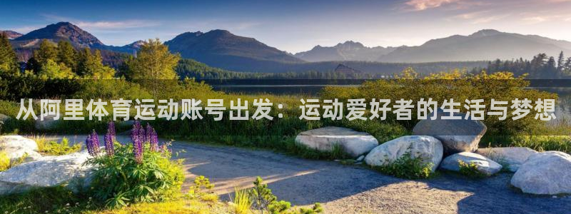 betway西汉姆：从阿里体育运动账号出发：运动爱好者的生活与梦想