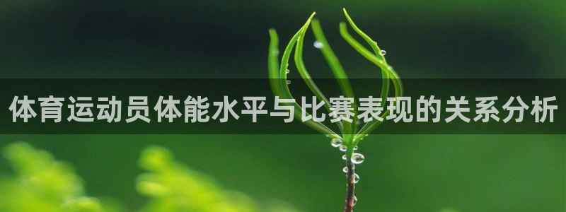 betway西汉姆联官网：体育运动员体能水平与比赛表现的关系分析
