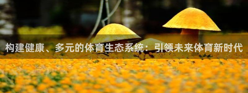 betway西汉姆联：构建健康、多元的体育生态系统：引领未来体育新时代
