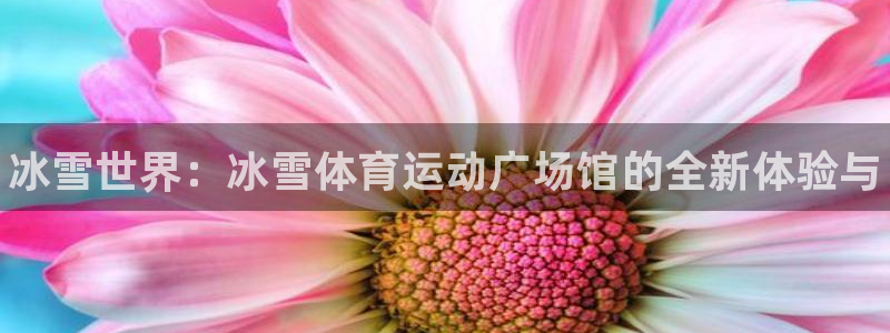 betway西汉姆：冰雪世界：冰雪体育运动广场馆的全新体验与