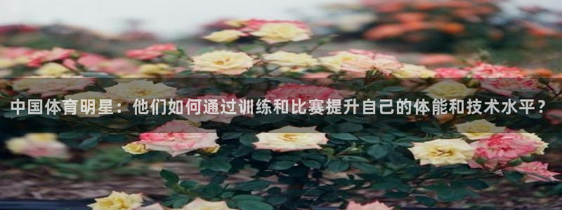 betway西汉姆联：中国体育明星：他们如何通过训练和比赛提升自己的体能和技术水平？