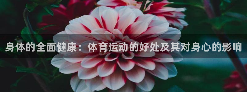 betway西汉姆：身体的全面健康：体育运动的好处及其对身心的影响
