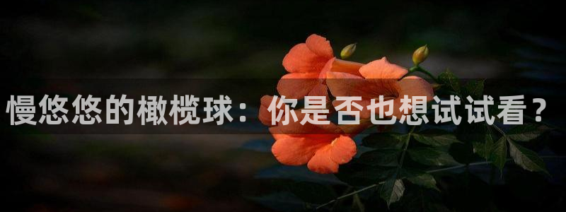 betway西汉姆：慢悠悠的橄榄球：你是否也想试试看？