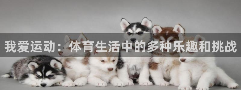 betway西汉姆联：我爱运动：体育生活中的多种乐趣和挑战