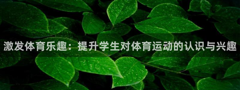 必威betway西汉姆联：激发体育乐趣：提升学生对体育运动的认识与兴趣