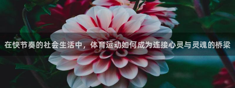 必威betway西汉姆联：在快节奏的社会生活中，体育运动如何成为连接心灵与灵魂的桥梁