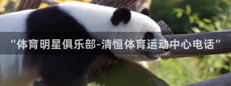 betway西汉姆：“体育明星俱乐部-清恒体育运动中心电话”