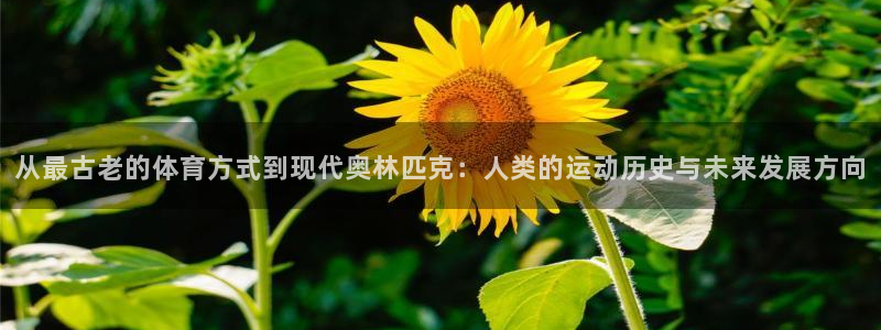 betway西汉姆：从最古老的体育方式到现代奥林匹克：人类的运动历史与未来发展方向