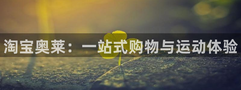 betway西汉姆官网：淘宝奥莱：一站式购物与运动体验