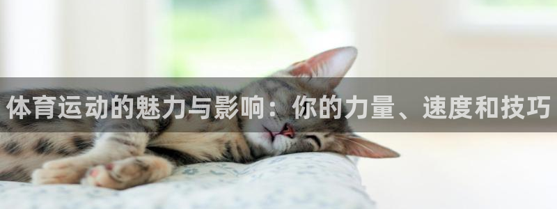 betway西汉姆联：体育运动的魅力与影响：你的力量、速度和技巧