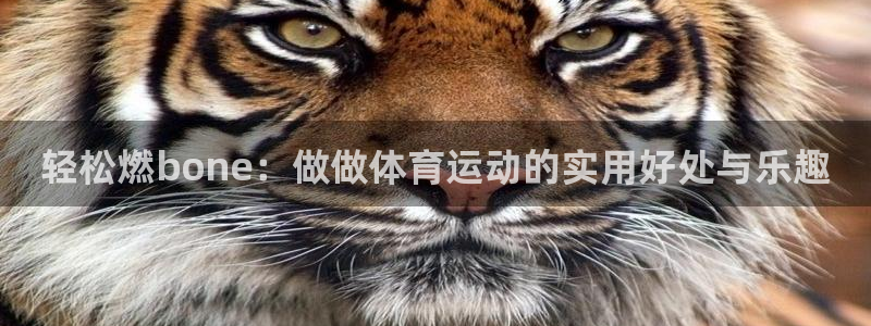 betway西汉姆联官网