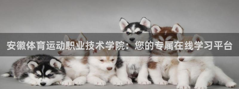 betway西汉姆：安徽体育运动职业技术学院：您的专属在线学习平台
