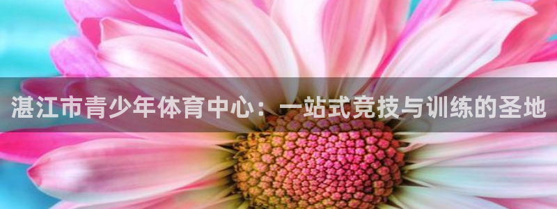 betway西汉姆官网：湛江市青少年体育中心：一站式竞技与训练的圣地