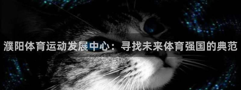 betway西汉姆官网：濮阳体育运动发展中心：寻找未来体育强国的典范
