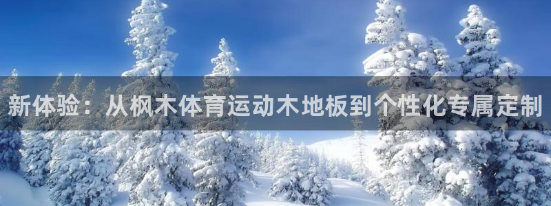 betway西汉姆联官网：新体验：从枫木体育运动木地板到个性化专属定制