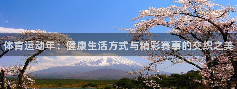 betway西汉姆联官网：体育运动年：健康生活方式与精彩赛事的交织之美