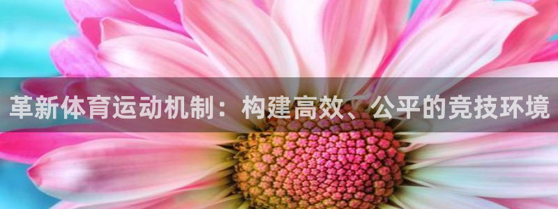 betway西汉姆：革新体育运动机制：构建高效、公平的竞技环境