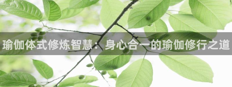betway西汉姆联：瑜伽体式修炼智慧：身心合一的瑜伽修行之道