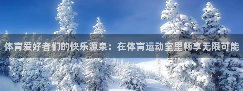 betway西汉姆：体育爱好者们的快乐源泉：在体育运动室里畅享无限可能