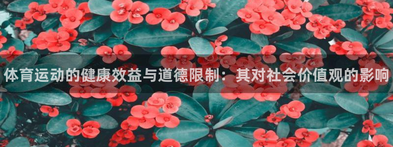 betway西汉姆联：体育运动的健康效益与道德限制：其对社会价值观的影响
