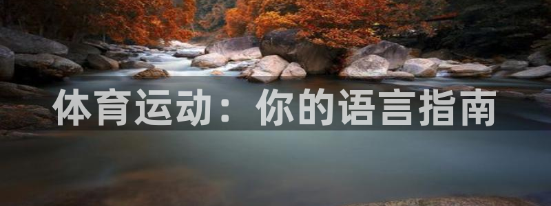betway西汉姆联官网：体育运动：你的语言指南