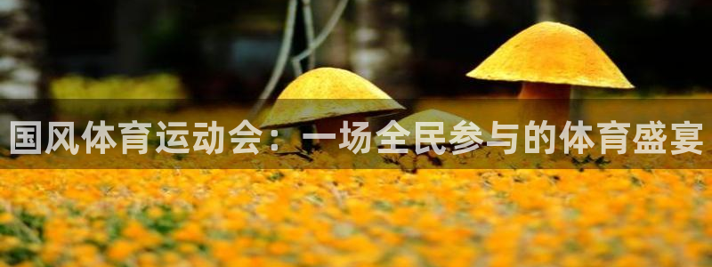 betway西汉姆：国风体育运动会：一场全民参与的体育盛宴
