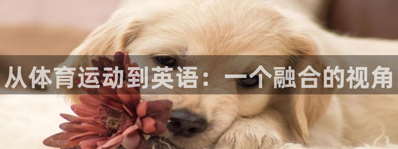 betway西汉姆联：从体育运动到英语：一个融合的视角