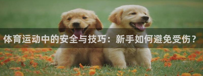 betway西汉姆官网：体育运动中的安全与技巧：新手如何避免受伤？