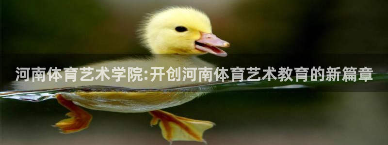 betway西汉姆联官网：河南体育艺术学院:开创河南体育艺术教育的新篇章