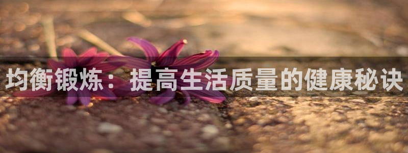 betway西汉姆联：均衡锻炼：提高生活质量的健康秘诀