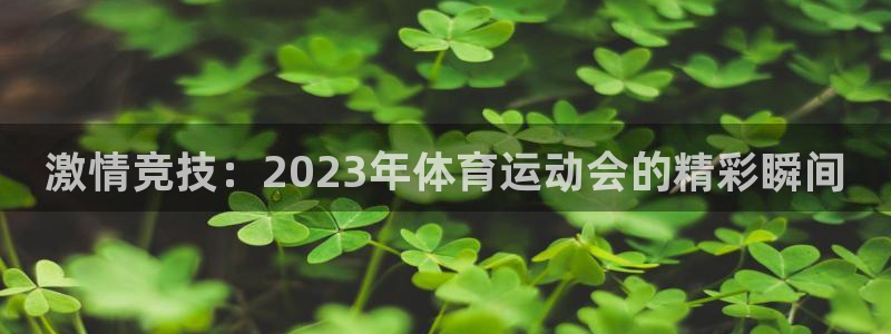 betway西汉姆：激情竞技：2023年体育运动会的精彩瞬间